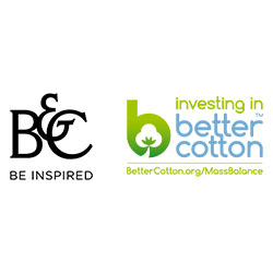 BCI Logo